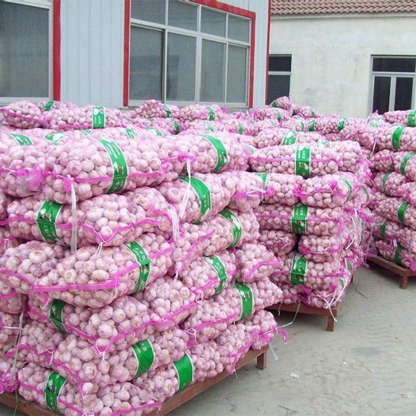 garlic loose package