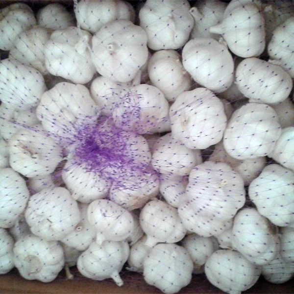 Premium Loose Pack Garlic Premium Loose Pack Garlic